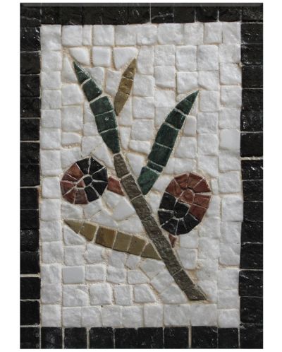 Mozaik Neptune Mosaic - Maslinova grančica, bez okvira - 1