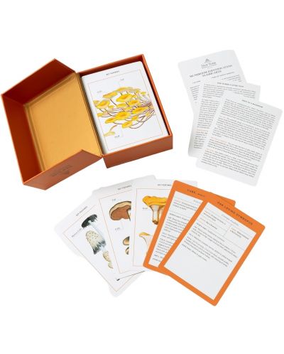 New York Botanical Garden Mushroom Identification Flashcards - 2