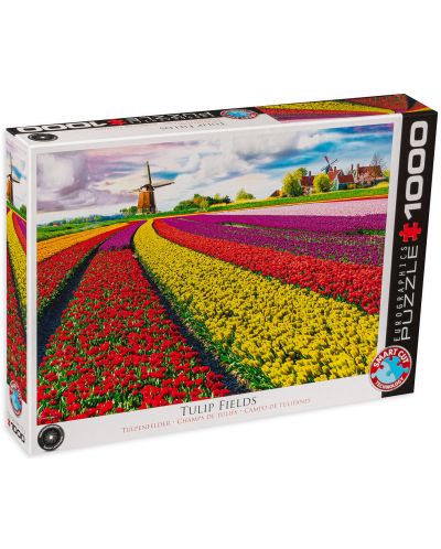 Slagalica Eurographics od 1000 dijelova - Polje s tulipanima - 1