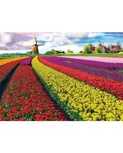 Slagalica Eurographics od 1000 dijelova - Polje s tulipanima - 2