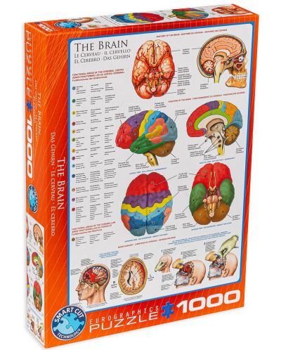 Slagalica Eurographics od 1000 dijelova – Ljudsko tijelo, Mozak - 1