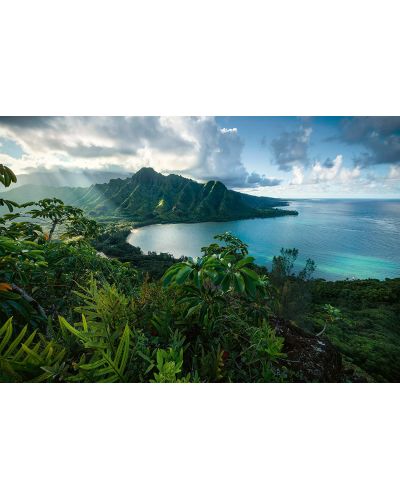 Slagalica Ravensburger od 5000 dijelova - Havajski pogledi - 2