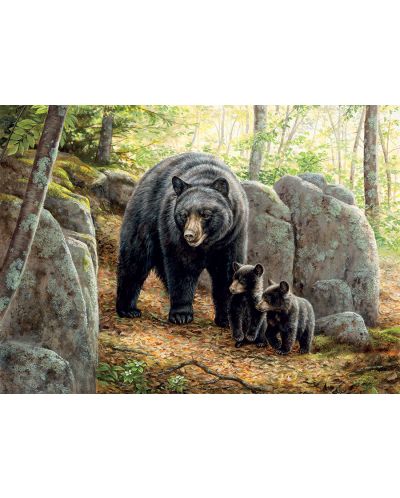 Slagalica Cobble Hill od 1000 dijelova - Majka medvjed, Rosemary Millette - 2