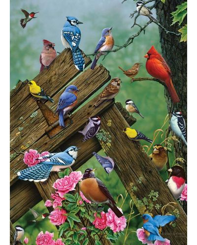Slagalica Cobble Hill od 1000 dijelova - Šumske ptice - 2
