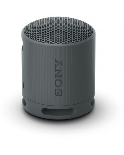 Prijenosni zvučnik Sony - SRS-XB100, crni - 1
