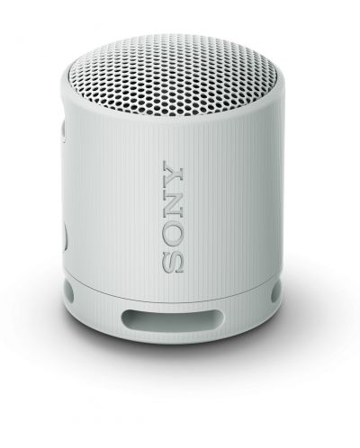 Prijenosni zvučnik Sony - SRS-XB100, sivi - 1
