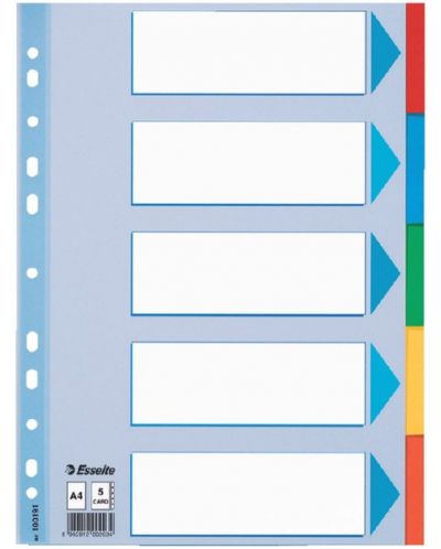 Separator Esselte - А4, 5 tema, karton - 1