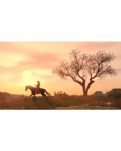 Red Dead Redemption (PS4) - 8