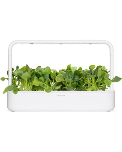 Sjeme Click and Grow - Bok Pak Choi, 3 punjenja - 4