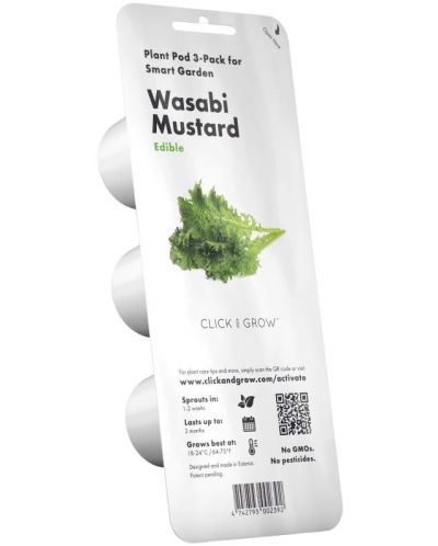 Sjeme Click and Grow - Wasabi senf, 3 punjenja - 1