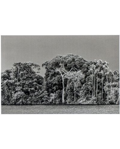 Sebastiao Salgado. Amazonia: Postcard Set - 4