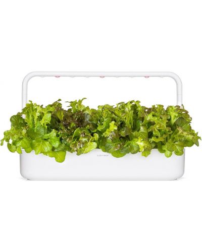 Sjeme Click and Grow - Crvena salata Hrastov list, 3 punjenja - 4
