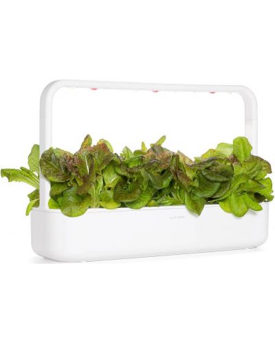 Sjeme Click and Grow - Crvena salata, 3 punjenja - 5