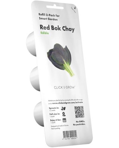 Sjeme Click and Grow - Crveni Bok Pak Choi, 3 punjenja - 1