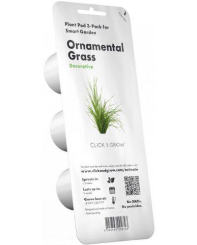 Sjeme Click and Grow - Ukrasna trava, 3 punjenja - 1
