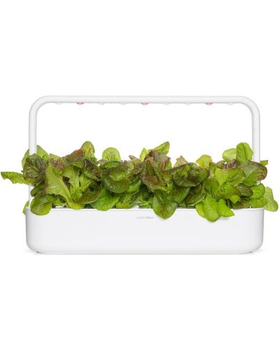 Sjeme Click and Grow - Crvena salata, 3 punjenja - 4