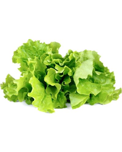 Sjeme Click and Grow - Zelena salata, 3 punjenja - 2