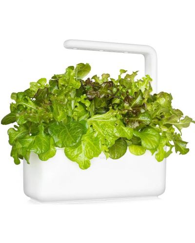 Sjeme Click and Grow - Crvena salata Hrastov list, 3 punjenja - 3