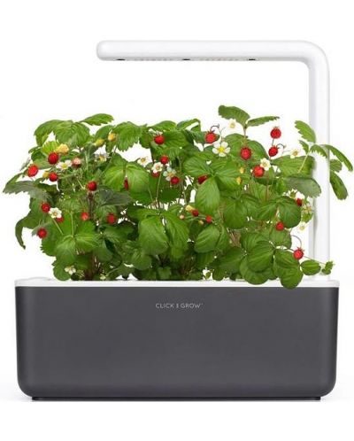 Pametna saksija Click and Grow - Smart Garden 3, 8 W, siva - 2