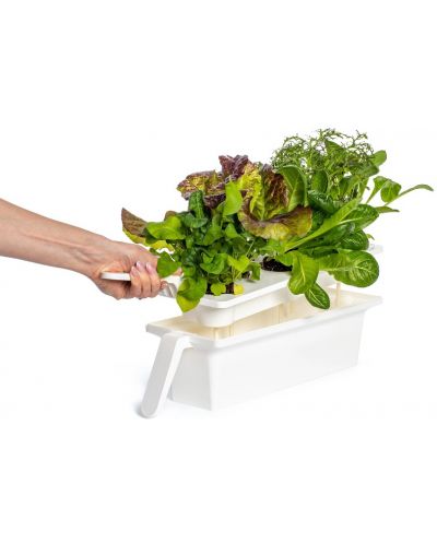 Pametna saksija Click and Grow - Smart Garden 25, bijela - 4