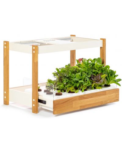 Pametna saksija Click and Grow - Smart Garden 25, bijela - 3