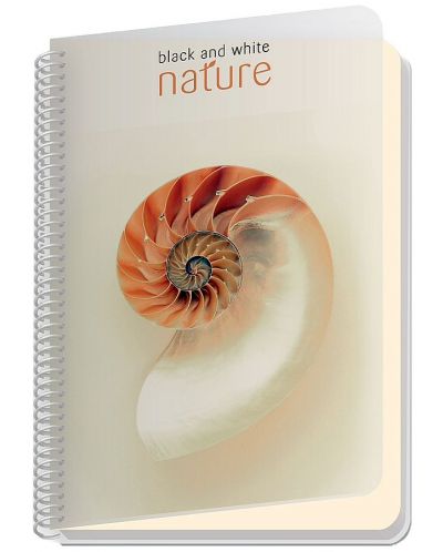 Bilježnica Black&White Nature - A4, široki redovi, asortiman - 2