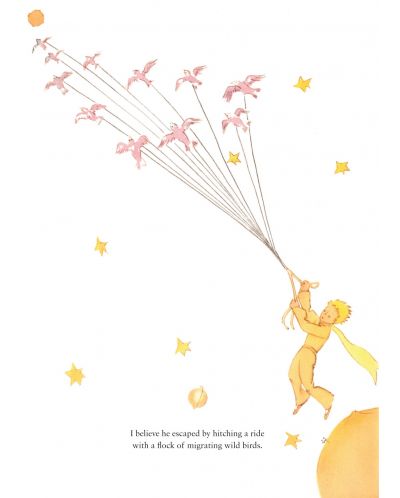 The Little Prince (Alma Classics) - 2