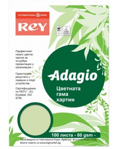 Kopirni papir u boji Rey Adagio - Bright Green, A4, 80 g, 100 listova - 1