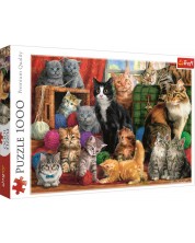 Puzzle Trefl od 1000 dijelova - Susret mačaka, Marcello Corti
