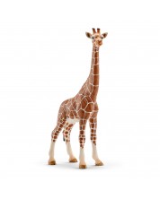 Figurica Schleich Wild Life Africa - Žirafa mrežasta, ženka