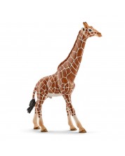 Figurica Schleich Wild Life Africa - Žirafa mrežasta, mužjak