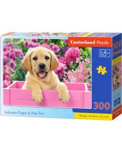 Puzzle Castorland od 300 dijelova - Mali labrador u ružičastoj kutiji