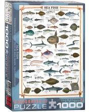 Puzzle Eurographics od 1000 dijelova –  Morska riba