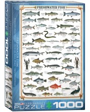 Puzzle Eurographics od 1000 dijelova – Slatkovodna riba