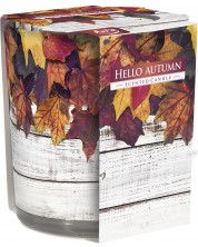 Mirisna svijeća Bispol Aura - Hello Autumn, 120 g -1