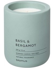 Mirisna svijeća Blomus Fraga - L, Basil & Bergamot, Pine Gray
