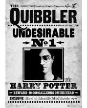 Umjetnički otisak Pyramid Movies: Harry Potter - The Quibbler -1