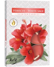 Mirisne svijeće Bispol Aura - Hibiscus-White Sage, 6 komada