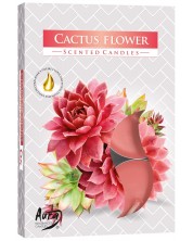 Mirisne čajne svijeće Bispol Aura - Cactus Flower, 6 komada