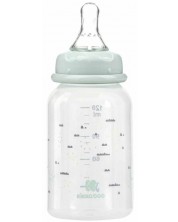 Bočica za bebe KikkaBoo Savanna - РР, 120 ml, mint -1