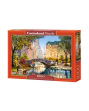 Puzzle Castorland od 1000 dijelova - Večernja šetnja po Central Parku, Richard Macneil