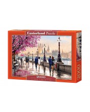 Puzzle Castorland od 2000 dijelova - Staza do rijeke