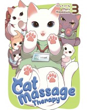Cat Massage Therapy Vol. 3
