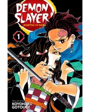 Demon Slayer: Kimetsu no Yaiba, Vol. 1 -1