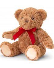 Ekološka plišana igračka Keel Toys Keeleco - Medvjed, 25 cm