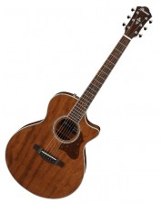 Elektroakustična gitara Ibanez AE245JR Open Pore, Natural -1
