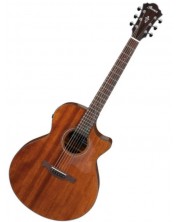 Elektroakustična gitara Ibanez - AE295, Natural Low Gloss -1