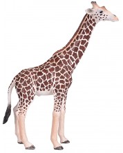 Figurica Mojo Wildlife – Muška žirafa -1