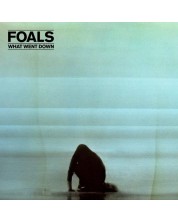 Foals - What Went Down (Vinyl)