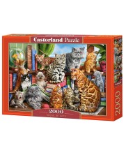 Puzzle Castorland od 2000 dijelova - Kuća mačaka, Marcello Corti